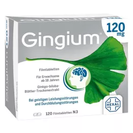 GINGIUM 120 mg filmsko obložene tablete, 120 kos