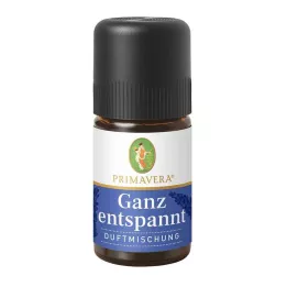 GANZ sproščena dišavna mešanica eteričnega olja, 5 ml