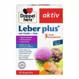 DOPPELHERZ Jetra plus s holin+cink kapsule, 30 kom