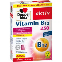 DOPPELHERZ Vitamin B12 250 aktivnih tablet, 120 kos