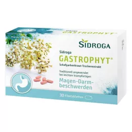 SIDROGA GastroPhyt 250 mg filmsko obložene tablete, 30 kos