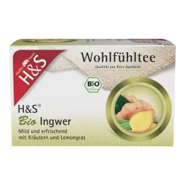 H&S Bio ingver filter vrečke, 20X2 g