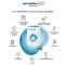 SPERMIDINELIFE Kapsule Memory+, 60 kos