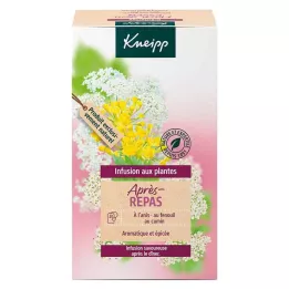 KNEIPP Zeliščni čaj po obroku filter vrečke, 20 kom