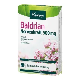 Kneipp Baldrijan Nerve Power 500 mg filmsko obložene tablete, 30 kos