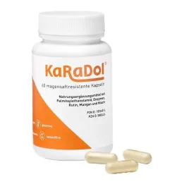 Karadol gastrorezistentne kapsule, 60 kosov