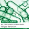 Bioticloges subtilis kapsule, 30 kos