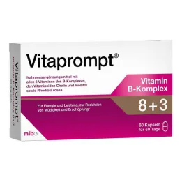 Vitaprompt Vitamin B kompleks 8 + 3 kapsule, 60 kosov
